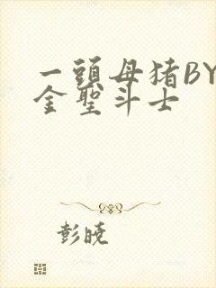 一头母猪BY黄金圣斗士封面