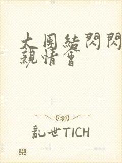 大团结闪闪发光亲情会封面