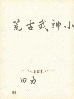 荒古武神小说