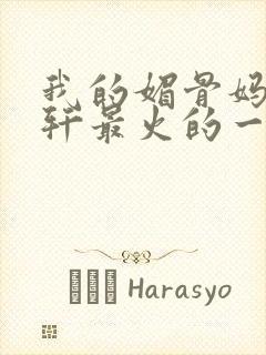 我的媚骨妈妈林轩最火的一句