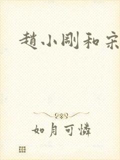 赵小刚和宋雨晴