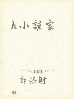 h小说家封面