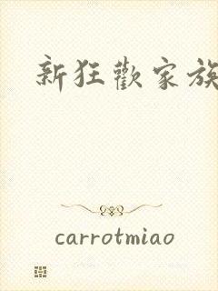 新狂欢家族小说