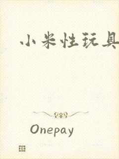 小米性玩具日记