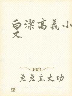 白洁高义小说全文