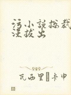 污小说总裁整夜没拔出