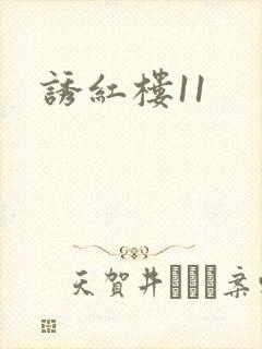诱红楼11