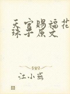 天官赐福花怜塞珠子原文封面