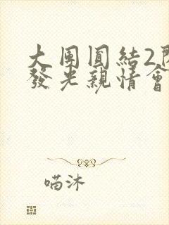 大团圆结2闪闪发光亲情会