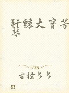 轩辕大宝芳菲雅琴