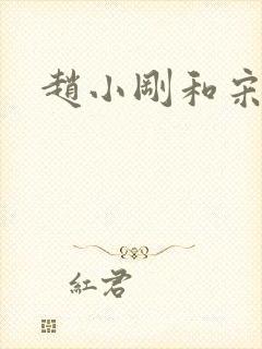 赵小刚和宋雨晴