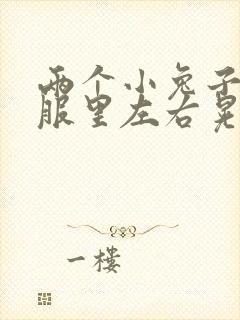 两个小兔子在衣服里左右晃封面