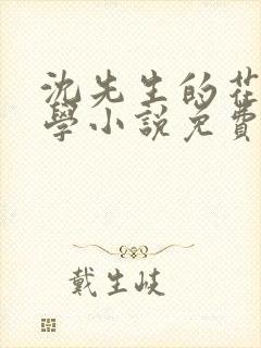 沈先生的花式教学小说免费