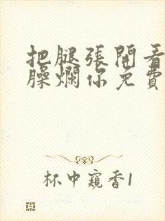 把腿张开看老子臊烂你免费封面