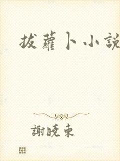 拔萝卜小说封面