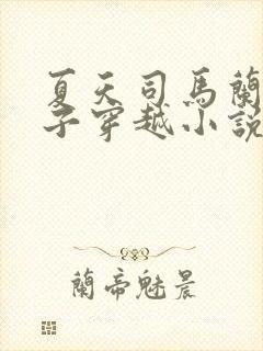 夏天司马兰九皇子穿越小说笔趣阁