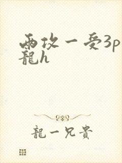 两攻一受3p双龙h