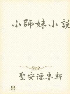 小师妹小说封面