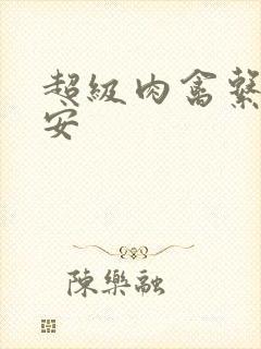 超级肉禽系统保安封面