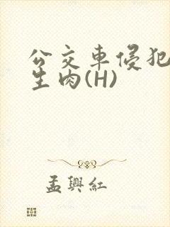 公交车侵犯小男生肉(H)