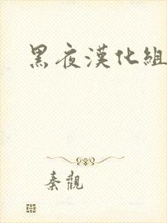 黑夜汉化组