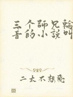 三个师兄轮流上音的小说叫什么