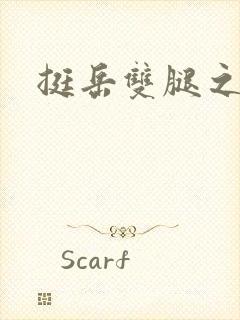 挺岳双腿之间封面