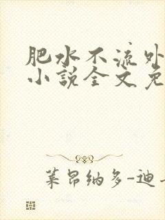 肥水不流外人田小说全文免费阅读全本免封面