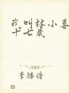 我叫林小喜今年十七岁封面
