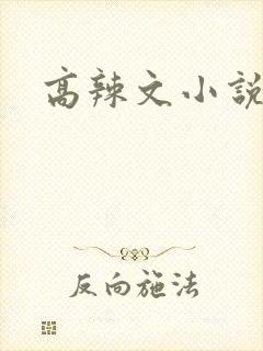 高辣文小说封面