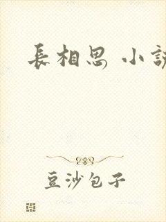 长相思 小说封面
