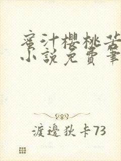 蜜汁樱桃苦咖啡小说免费笔趣阁封面