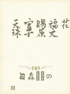 天官赐福花怜塞珠子原文封面