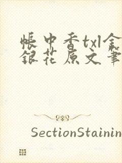 帐中香txl金银花原文笔趣阁封面