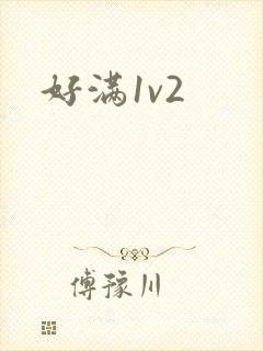 好满1v2