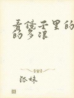 看镜子里的你叫的多浪