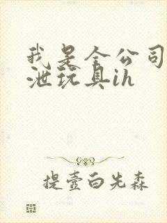 我是全公司的发泄玩具ih