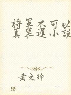 将军不可以魏云真慕迟小说笔趣阁