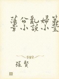 荡公乱妇第51章小说小莹