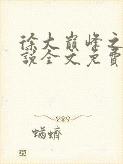 徐大巅峰之路小说全文免费阅读封面