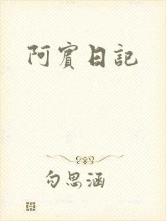 阿宾日记封面