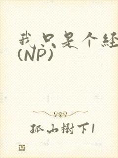 我只是个经纪人(NP)