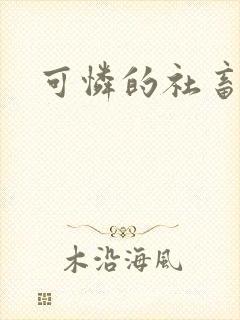 可怜的社畜小说