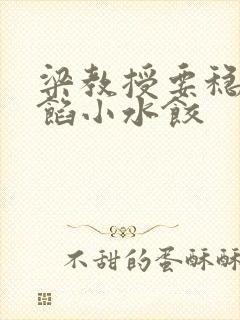 梁教授要稳住肉馅小水饺