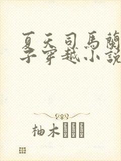 夏天司马兰九皇子穿越小说笔趣阁