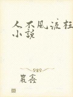 人不风流枉少年小说