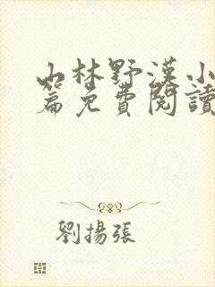 山林野汉小说全篇免费阅读封面