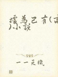 据为己有(高干)小说封面