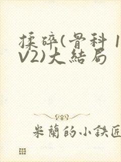 揉碎(骨科 1V2)大结局封面