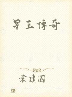 星王传奇